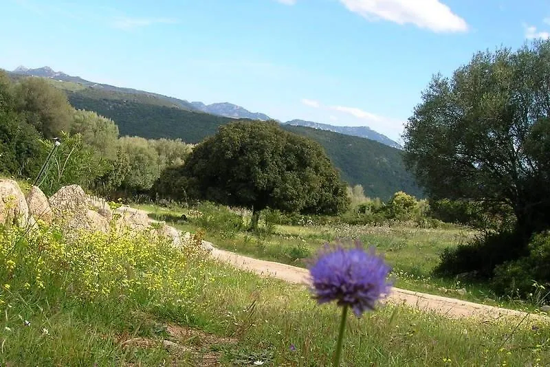 Çiftlik konaklama Agriturismo Stazzi La China Villa Luogosanto İtalya